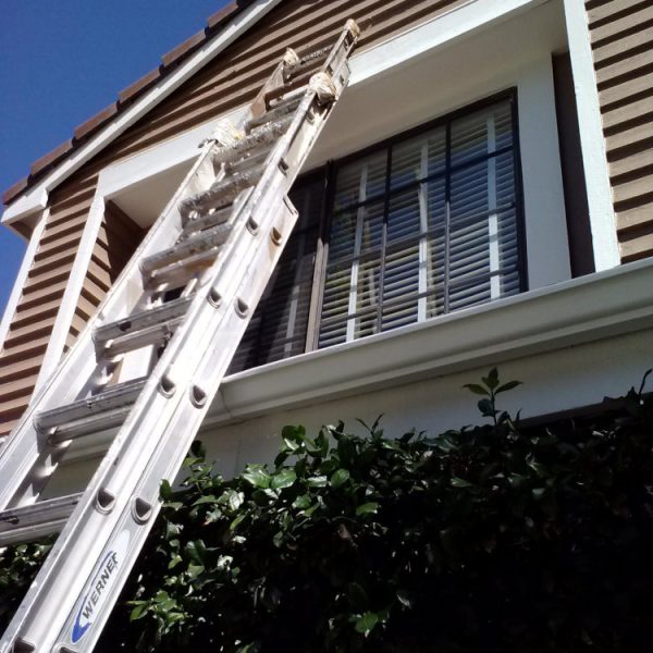 Santa Clarita residential exterior featuring tan lap siding and white window trim by Paint Daddy.